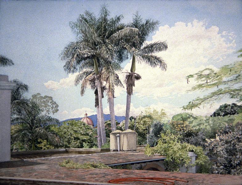 Rooftop And Royal Palms  1987.jpg